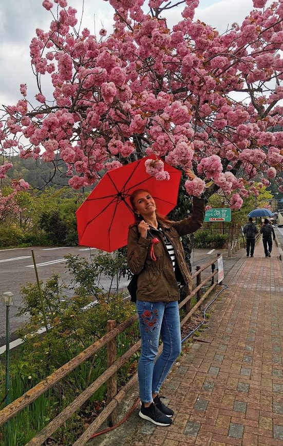 Japan iz prve ruke … putovanje u godini smene careva