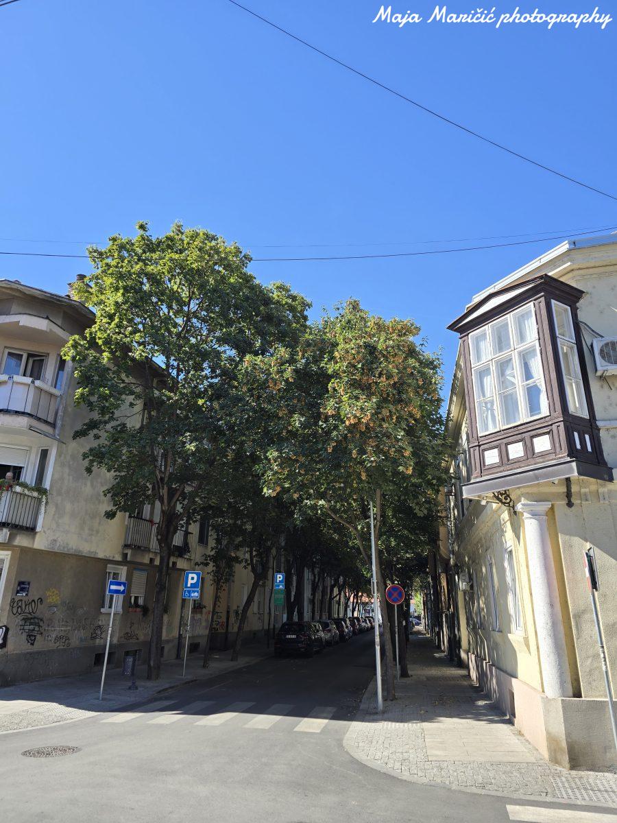 Zemun arhitektura
