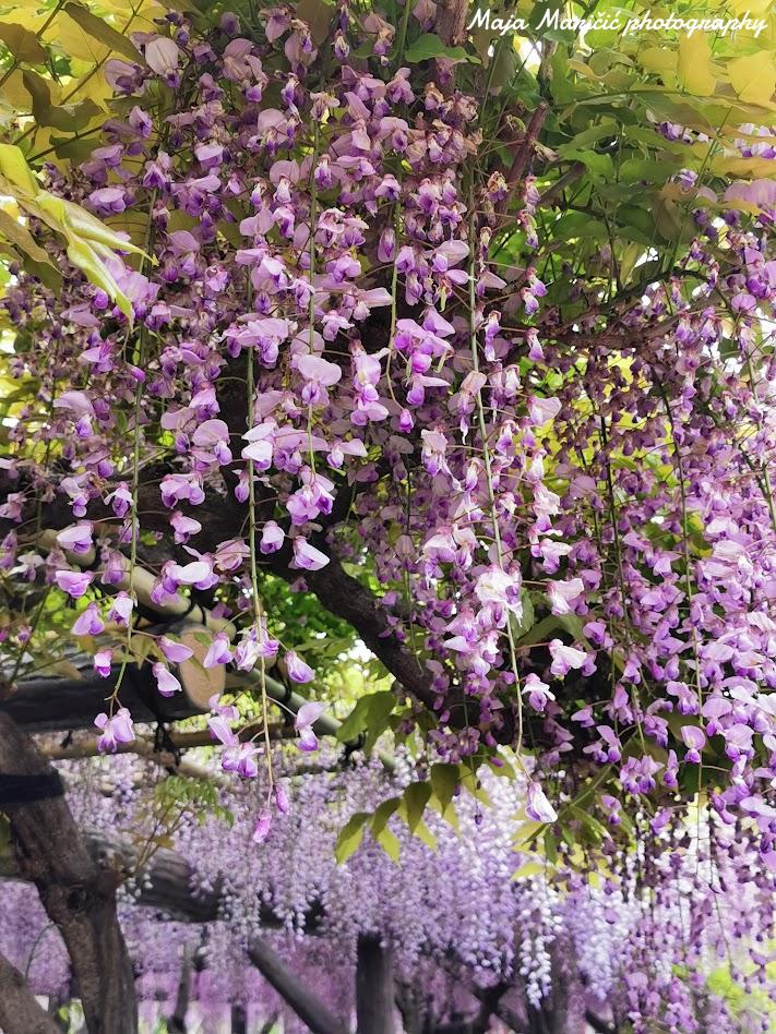 Proleće koje nosimo u sebi 