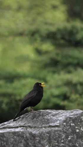 IMG 20230518 190626 186